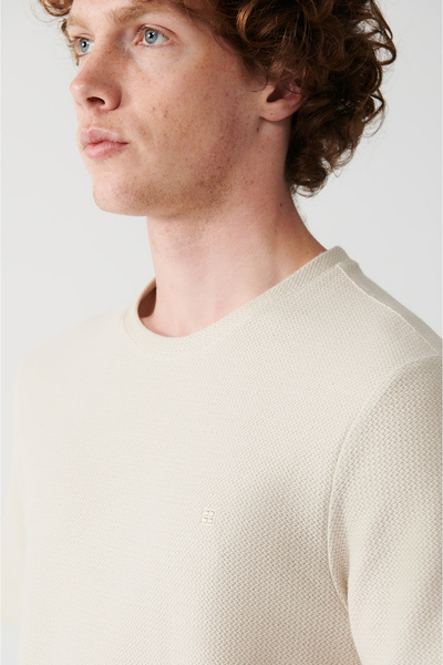 Avva Beigefarbenes Herren-T-Shirt aus 100 % Baumwolle mit Rundhalsausschnitt A31y1164