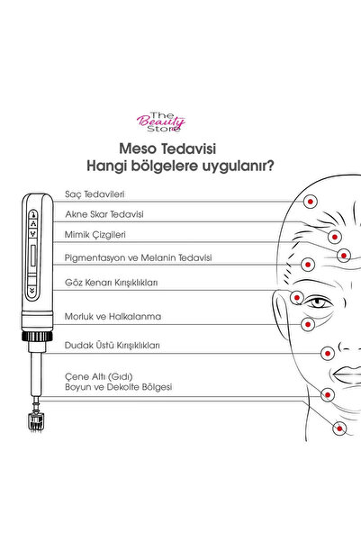 TheBeautyStore İğneli Mezoterapi Tabancası Cilt Gençleştirme Saç Mezo Yüz Kırışıklık Leke Çizgi Giderme Cihazı