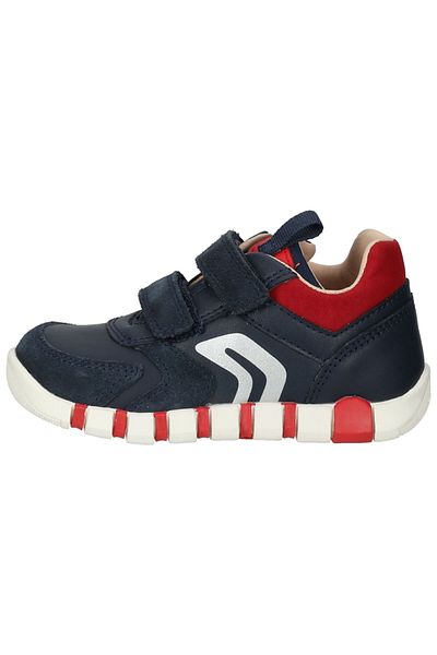 Geox Sneaker