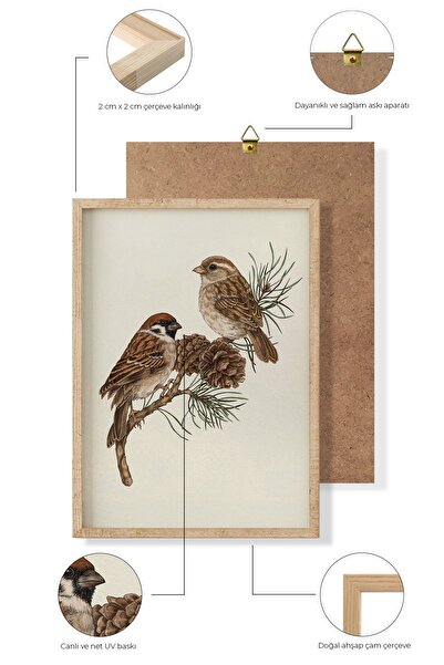 decorose Kuş Çizimleri Çerçeveli Tablo, Ahşap Tablo, Modern Duvar Dekoru, Salon Tablo, Duvar Tablo