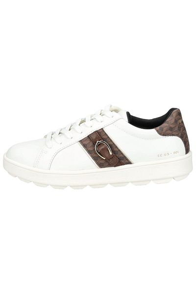 Geox Sneaker