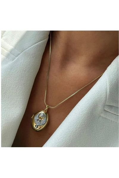 AKSESUARIM Zircon Stone, Covered, Photo Can Be Put, Colorful Phoenix, Black Steel Necklace