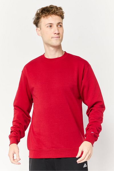 Champion Men Sportswear Fit Long Sleeve Outdoor Sweatshirts, Red