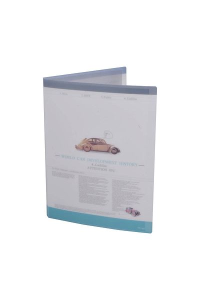 Generic A4 Plastic File Folder