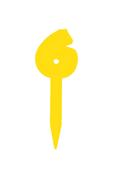 OEM Topper tort, "6", zi de nastere, aniversare,150 X 54 mm galben