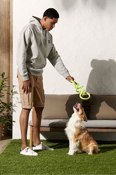 Tchibo Dog Toy, Light Green