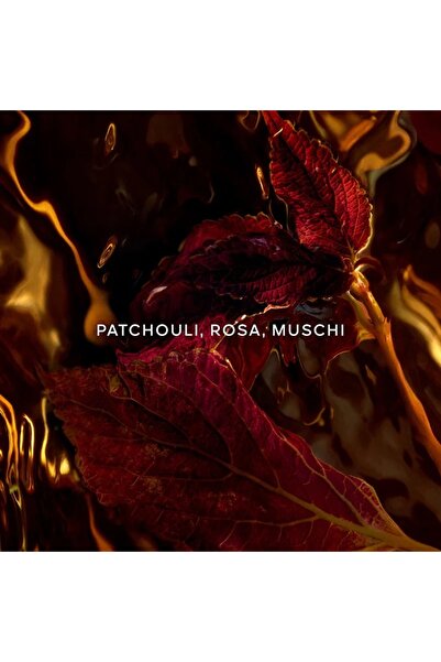 Guerlain عطر جيرلان ابسولو اليغوريا باتشولي اردنت او دو برفيوم 125 مل