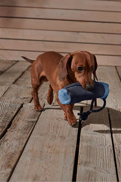 Tchibo Dog Toy Food Dummy, Navy