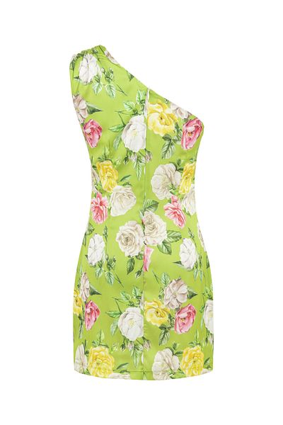 SEIZE THE DAY Adele Dress