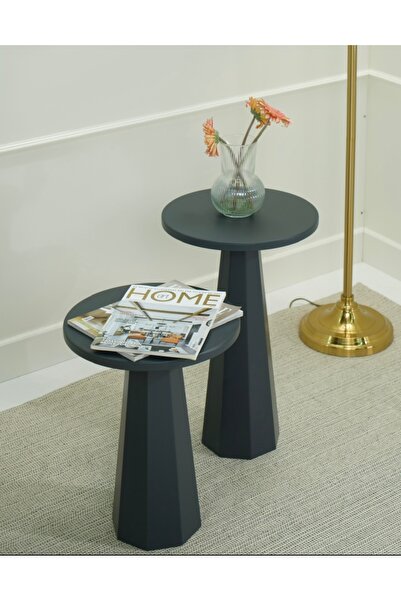 Genel Markalar Lilyum Lake Mantar Sehpa Antrasit Ikili Set (47-57 CM)