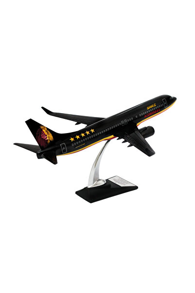 zekupp Boeing 737-800 1/100 Ölçek Klasik Aslan Tasarımlı Siyah Maket Uçak  (UCK0211)