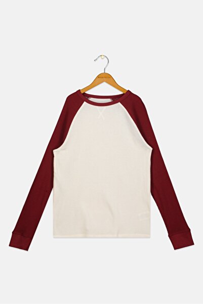 HAWK Kids Boy Round Neck Long Sleeves Two-Tone T-Shirt, Multicolor