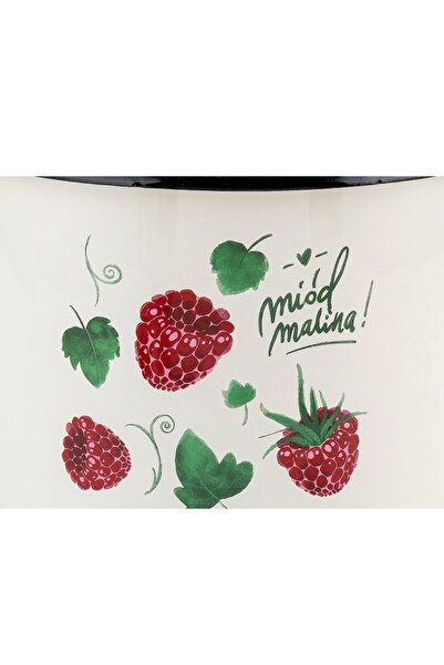 FLORINA 3.2 l enamel pot, raspberry pattern