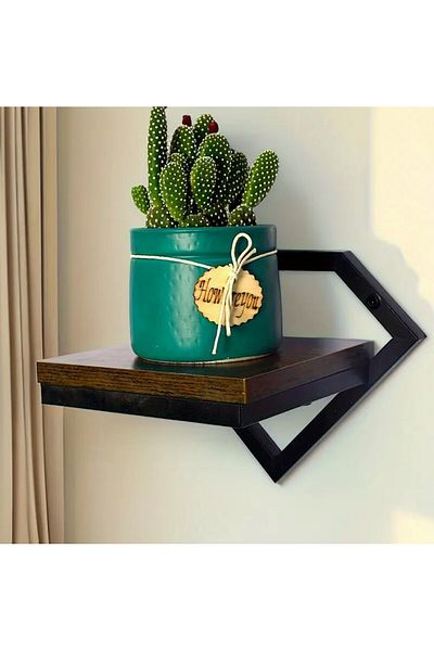zola Suport suspendat de perete, pentru plante, decoratiuni, greutate maxim suportata 10 kg, 19x23x20 cm