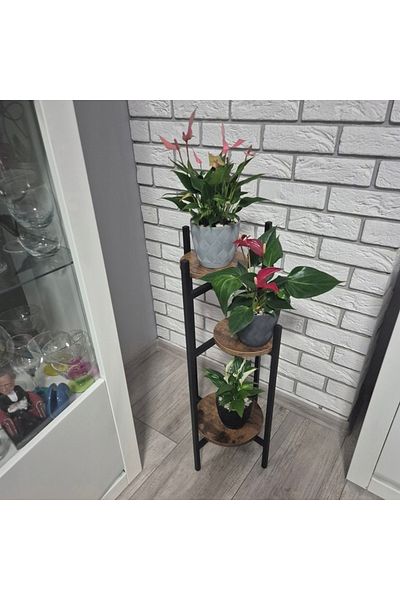 zola Suport metalic flori cu 3 polite MDF, max 45 kg, 81x27x27 cm, negru/maro