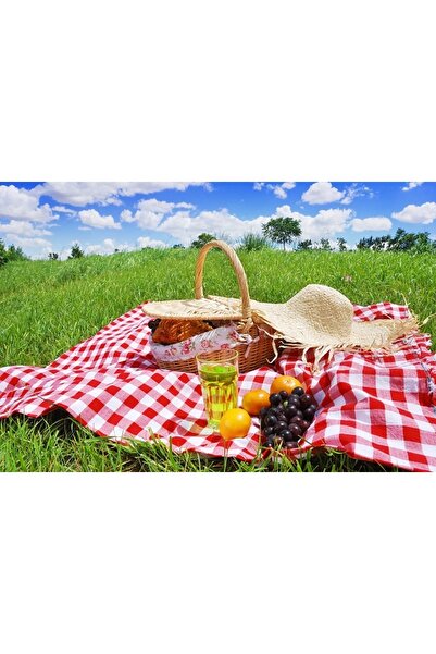 HALZEY Picnic Mat, Table Cloth, Multi-Purpose Mat