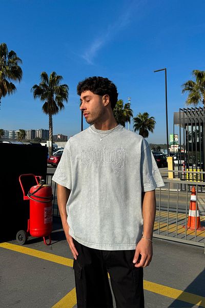 Flaw Wear Andy Embroidered Gray T-Shirt