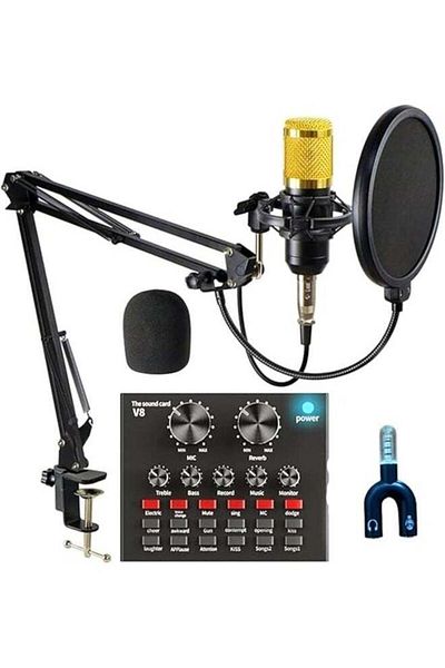 Generic Condenser Microphone for PC Studio with V8 Sound Card