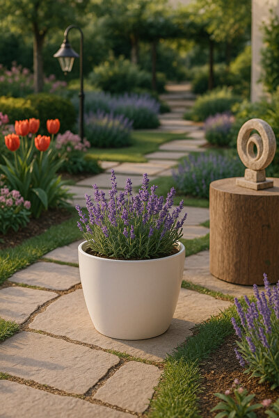 Veliday Kaliteli NO:1 Yakut Saksı - No: 1 0,68 litre