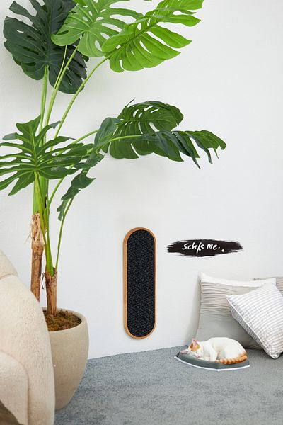 ESLENTA Men's Cat Scratching Board - Wall Mounted Solid Wood, Black