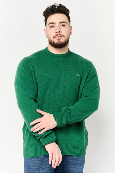 Harmont & Blaine Men Round Neck Embroidered Logo Sweater, Green