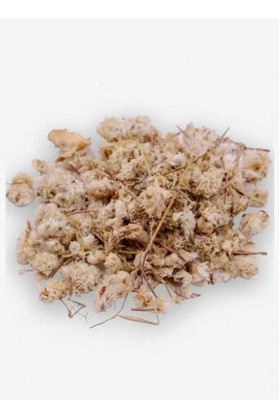 Generic عشبة رجل الأسد 250 جرام