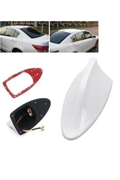 Le Moins Cher Honda Civic Fd6 Elektrikli Shark Köpek Balığı Anten Beyaz Balin...
