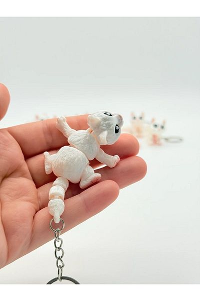 moonparacord 3D Cute Moving Cat Keychain