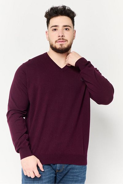 Harmont & Blaine Men V Neck Embroidered Logo Sweater, Burgundy