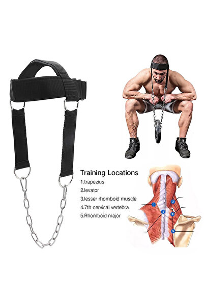 KAŞIKBEY Egzersiz Ağırlık Çalışma Fitnes Baş Boyun Geliştirici Ağırlık Ense E...