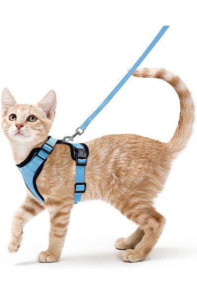Choice S Blue Cat Harness and Leash for Walking, Escape Proof Soft Adjustable Vest Harnesses for Cats, Easy