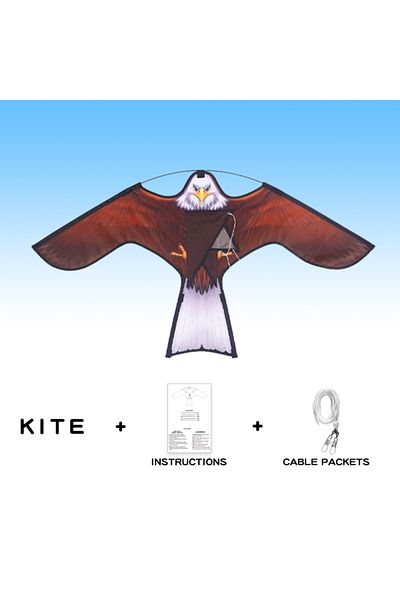 Choice Picture Color YongJian 1.2 Drive Bird Eagle Kite for Garden Decoration Drive Bird in the Field For G