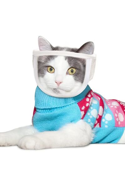 Choice 25-30cm 1 Breathable Clear Cat Muzzle Anti-bite Grooming Cover Portable Head Hood Cover Cat Grooming