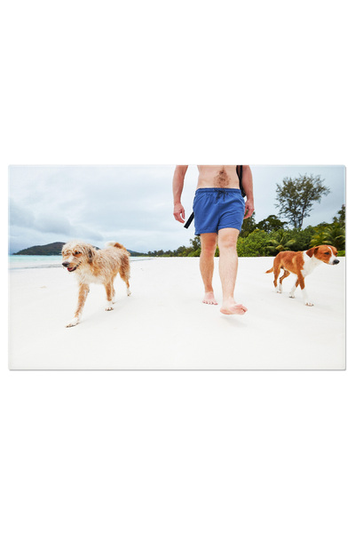 StoryGift Romania Tablou Canvas Barbat Pe Plaja Cu Cainele, Plaja, Mare, Soar...