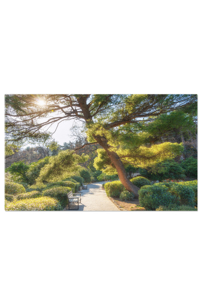 StoryGift Romania Tablou Canvas Microorganisme Patogene La Marire Virus, Celula, Microbiologie, Microscopie, Biol