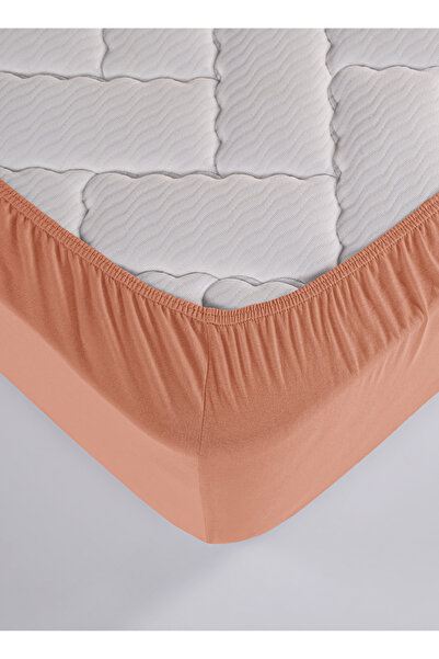 Karden Flower Premium 100% Cotton Double Combed Cotton Elastic Sheet - Salmon