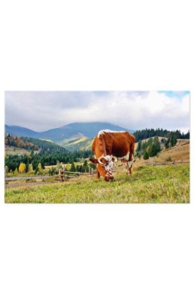 StoryGift Romania Tablou Canvas - Ferma Si Pasune: Animale, Carpati, Natura, ...