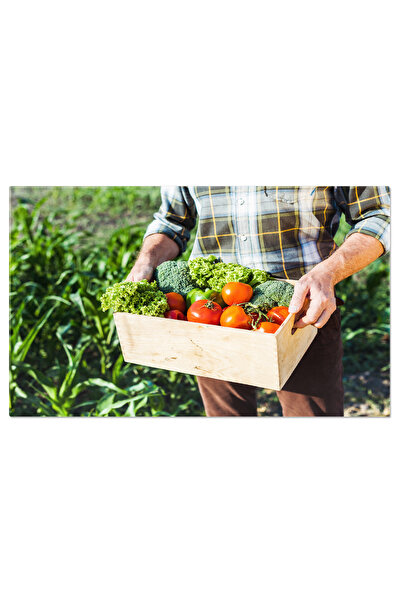 StoryGift Romania Tablou Canvas: Mainile Care Hranesc Lumea - Agricultura, Fe...