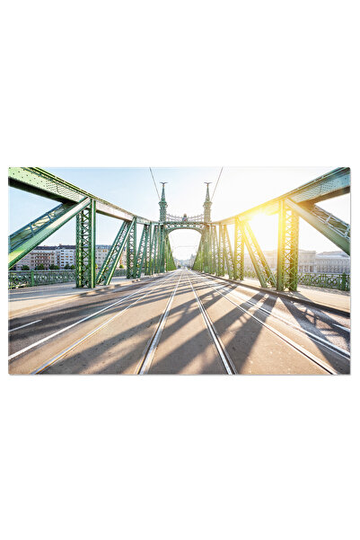 StoryGift Romania Tablou Canvas Podul Libertatii In Orasul Budapesta, Budapes...