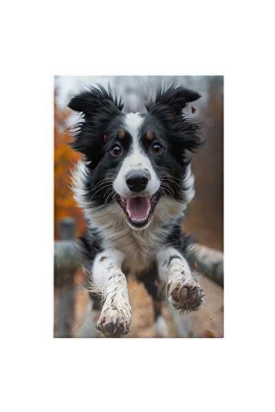 StoryGift Romania Tablou Canvas Un Caine Vesel Cu Blana Alba Neagra Cu Ochii ...