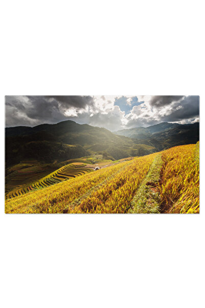 StoryGift Romania Tablou Canvas View De Sus A Campurilor Terasate De Orez Din...