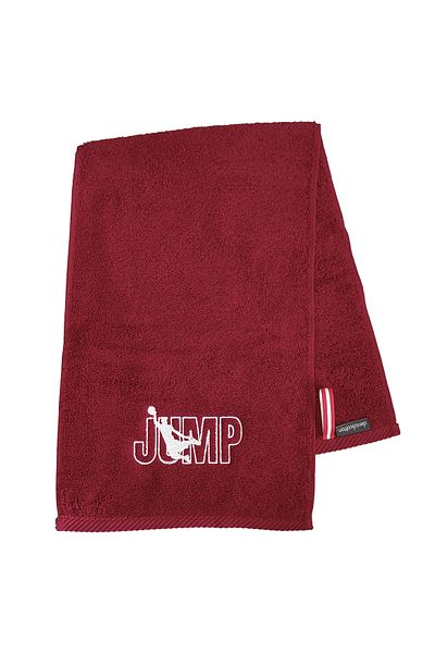 denizlicotton Embroidered Sports Towel Cotton, Anti-Bacterial, Sweat-Absorbent Fitness Plates Boxing Tennis Sports Towel