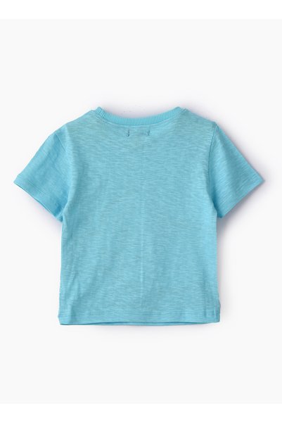 Basicxx Boys Knit Cotton Dinosaur Print T–Shirt