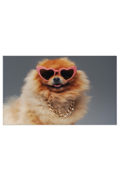 StoryGift Romania Tablou Canvas - Pomeranianul Vesel In Ochelari De Soare Si ...