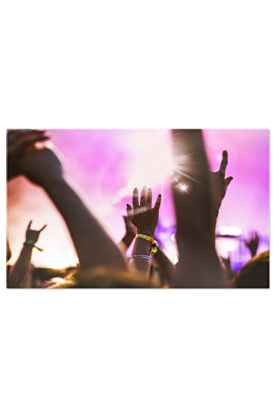 StoryGift Romania Tablou Canvas - Fanii Entuziasmati: Energia Concertului Intr-o Multime Fericita