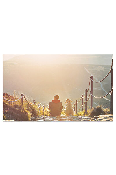 StoryGift Romania Tablou Canvas Om Impreuna Cu Cainele, Stand Pe Alee La Apus...