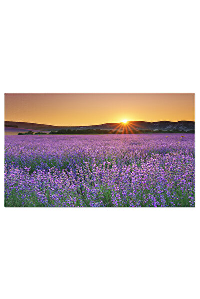 StoryGift Romania Tablou Canvas Camp De Lavanda La Apus, Lavanda, Peisaj, Nat...