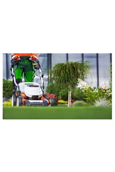 StoryGift Romania Tablou Canvas Ingrijirea Gradinii Un Muncitor Tunde Gazonul...