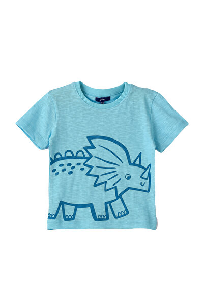 Basicxx Boys Knit Cotton Dinosaur Print T–Shirt
