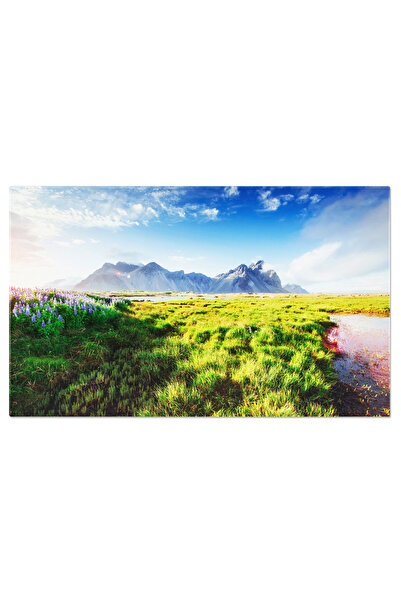 StoryGift Romania Tablou Canvas - Peisaj Primavaratic - Flori Lupin Infloritoare Intr-o Zona Izolata